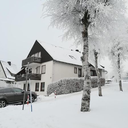 Appartamento Haus Schneider Winterberg Esterno foto