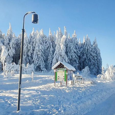 Appartamento Haus Schneider Winterberg Esterno foto