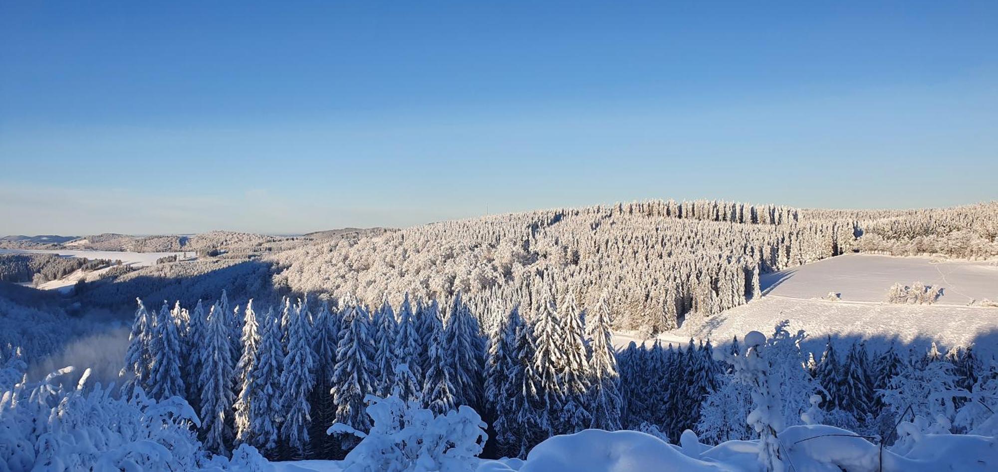 Appartamento Haus Schneider Winterberg Esterno foto