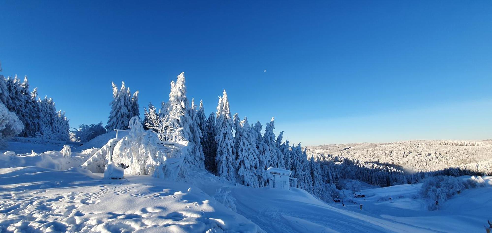 Appartamento Haus Schneider Winterberg Esterno foto