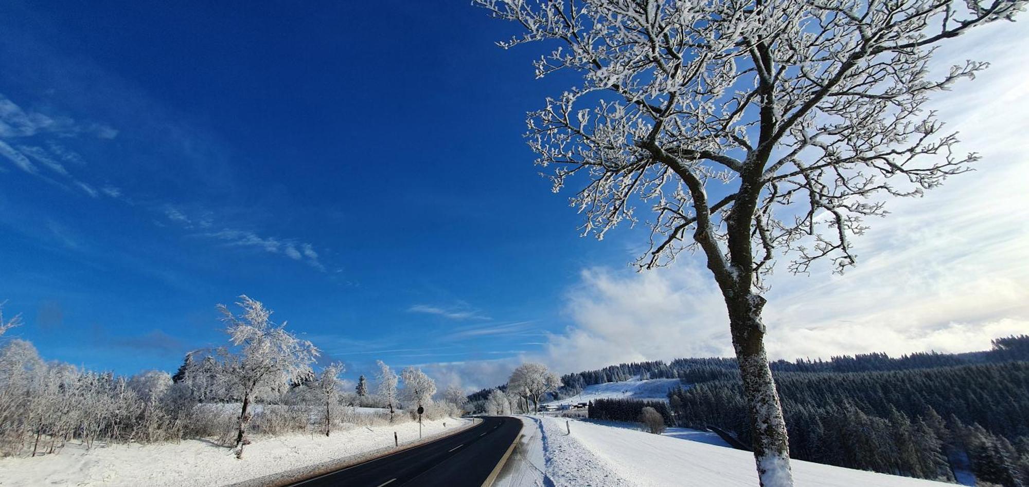 Appartamento Haus Schneider Winterberg Esterno foto