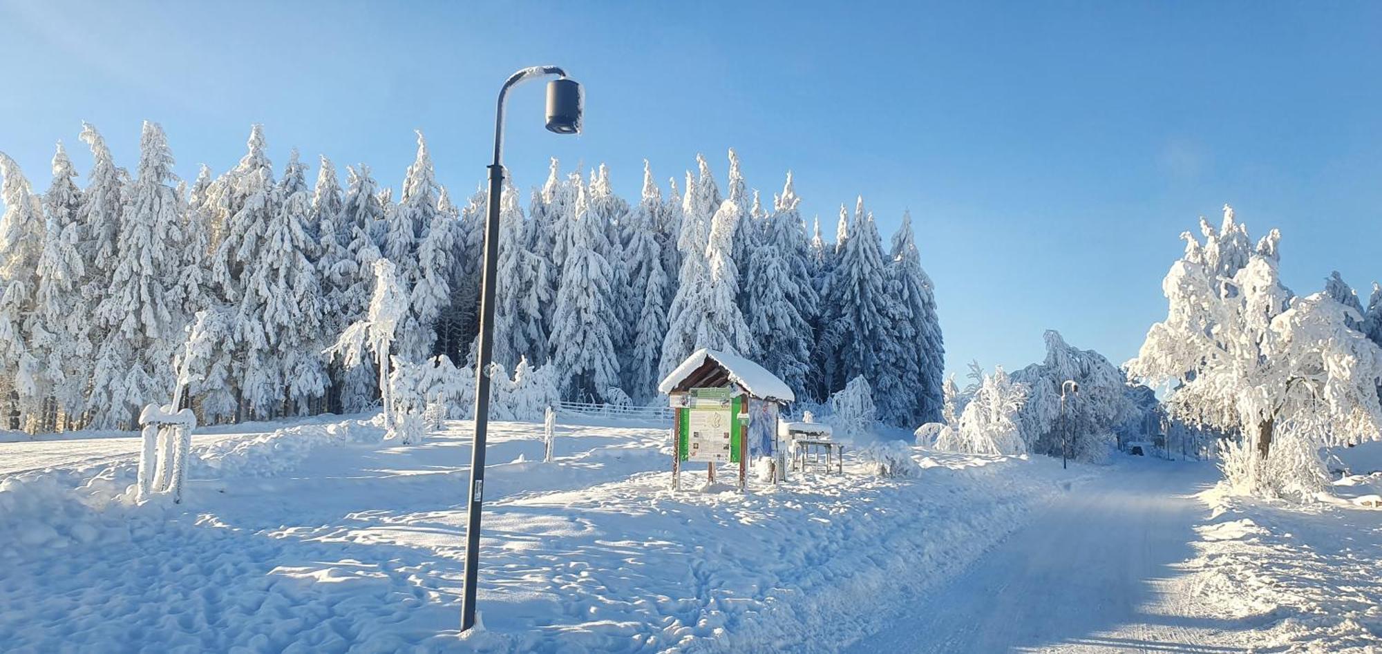 Appartamento Haus Schneider Winterberg Esterno foto